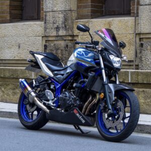 YAMAHA MT-25